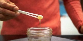 Американський стартап MeliBio розробив прототип синтетичного меду