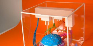 Бургери з шоколадом та морозиво, полите кетчупом: сучасна їжа, яка приголомшує