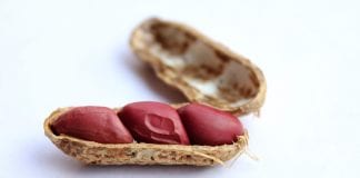 Рослинне м’ясо більше не схоже на тофу. Китайці розробили курятину з арахісу