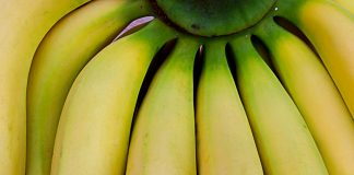 Не підсковзнись. В Нідерландах вироблятимуть підсолоджувачі з бананової шкірки