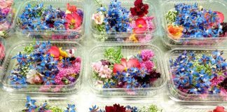 Букети на обід. Міні-ферма під Києвом вирощує для ресторанів їстівні квіти