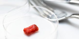 Електростейк. Навіщо японські вчені тримають лабораторне м’ясо під струмом?