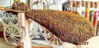 Камон, хамон. Індичий мініхамон приваблює «зелених» туристів в українські села