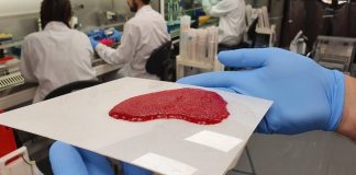 Ізраїльський виробник 3D-м’яса виходить на IPO, щоб перейти на промислові обсяги