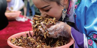 Не гудуть. ТОП-10 компаній, які планують нажитися на їстівних хробаках та цвіркунах