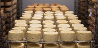 Без звуків «Му»: молочний сир без корів з’явиться на ринку через два роки