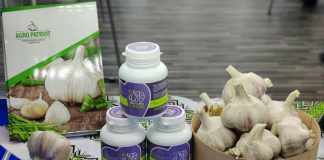 Часниковий ас: українці помістили часник у гранули та презентували в Дубай