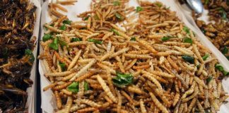 Заморіть черв’ячка. Попит на їжу з комах драйвитимуть пенсіонери та вегани