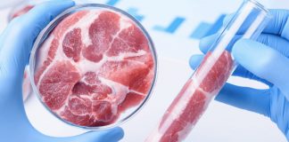 Агнець небожий: перша у світі лабораторна ягнятина з’явиться через 2 роки