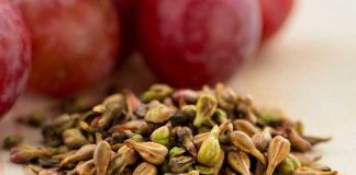 Вінницька компанія робить макарони з виноградними кісточками та гарбузом