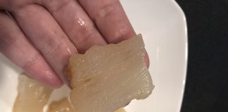 Стартап створює кальмари із ферментованих білків