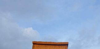 Філіппінський стартап створив холодильник з кокосового лушпиння