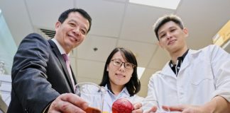 Сінгапур навчатиме студентів технологіям виготовлення альтернативного м’яса