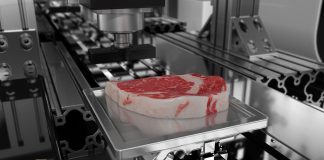Лабораторна вирізка: стартап патентує технологію, що дозволить друкувати преміальне м’ясо