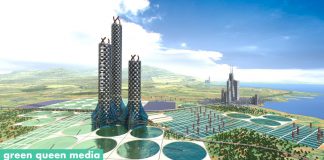 Японці розробили стандарти для вирощування лабораторного м’яса на заводах та вдома