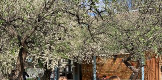 Кав’ярня на ВДНГ продає пряні трави та готує авторські чаї