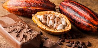 Чао-какао: із відходів плодів какао створили сік та борошно з пікантним смаком