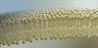 108Labs створює перший у світі завод з виробництва людського грудного молока