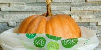 Пластична операція. Українці виготовили пакети із кукурудзяного крохмалю