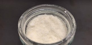 З ряски створили найстійкіший у світі білок. Він такий же, як яєчний