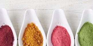 Із бузини та брусниці створять порошки для соків з пребіотиками. Їх можна їсти сухими