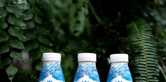 Одна з найбільших молочних компаній створила йогурти з «карпатською фішкою»