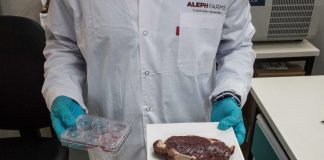 Ізраїльська Aleph Farms залучила $100 млн на створення лабораторних стейків