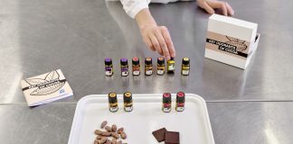 Швейцарські вчені виростили лабораторний шоколад у біореакторі