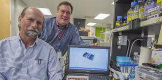 Стартап зібрав $10 млн на оцифровку смакових рецепторів людини