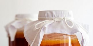 «Чайний гриб» став відкриттям для покоління Z та демонструє неймовірний ріст