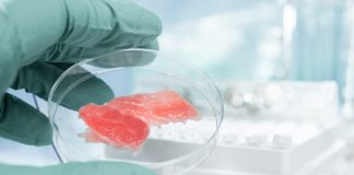 Вчені, яких підтримує бізнес-інкубатор Y Combinator, накачають лабораторного лосося колагеном для «справжності»