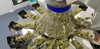 Найбільший виробник канабісу в Ізраїлі розробив харчові добавки з коноплею та грибами. «Веселий перекус».