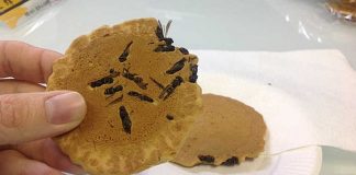 Японська фабрика випікає печиво з диких земляних ос — нагадує ізюм і горіхи