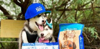 Виробник корму для тварин зібрав мільйони, щоб вирощувати м’ясо у лабораторії. Вклалися знаменитості.