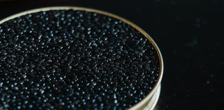 У Нідерландах вирощуватимуть чорну ікру в лабораторії, щоб врятувати білугу від вимирання