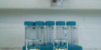 Ізраїльтяни розробили «м’ясний» горох, і прагнуть підкорити ринок рослинної їжі