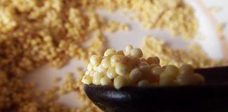 Курка та риба з грибів — глобальний інкубатор “пригрів” у себе нові стартапи