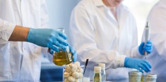 Рибні міхури для освітлення пива пропонують замінити печерицями. Задля веганів