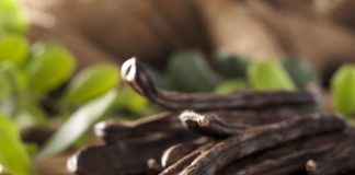 Ізраїльський стартап виготовлятиме з рожкового дерева надпоживний замінник шоколаду