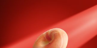 Американці розробили пончик майбутнього — містить стільки ж вуглеводів, як два шматочки банана