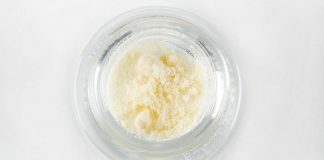 Лідер інноваційної етноботаніки створив їстівний порошок із коноплі, що не впливає на психіку