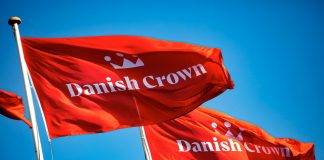 Найбільша бійня Європи відступає перед альтернативним м’ясом