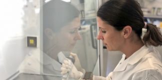 Інноваційний стартап задля екології хоче замінити молоко від мільйонів корів на лабораторне