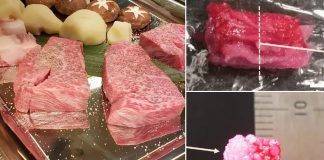 Японські вчені надрукували яловичий стейк по $900 за півторасантиметровий шматок