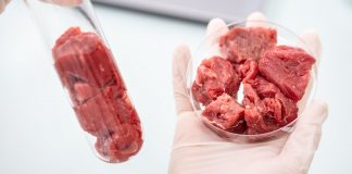 Лабораторному м’ясу пророкують «золоту лихоманку», а в стартапи інвестують мільйони