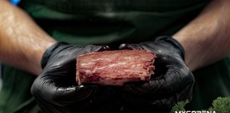 Шведи додали у веганське м’ясо перший у світі жир на основі грибів