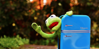 Тримайтеся якнайдалі: як організувати харчовий простір у холодильнику