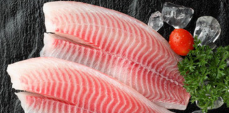 Вчені взялися надрукувати рибу без кісток — за допомогою водоростей, стовбурових клітин та струму