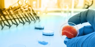 Бельгійський стартап зібрав мільйони на дослідження білків, що роблять несправжню рибу рибою