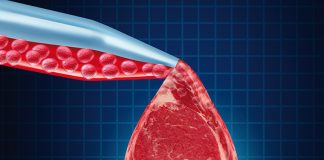 Ізраїльський стартап зібрав третину мільярда на розширення виробництва лабораторного м’яса